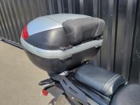 ELIMINATOR 500