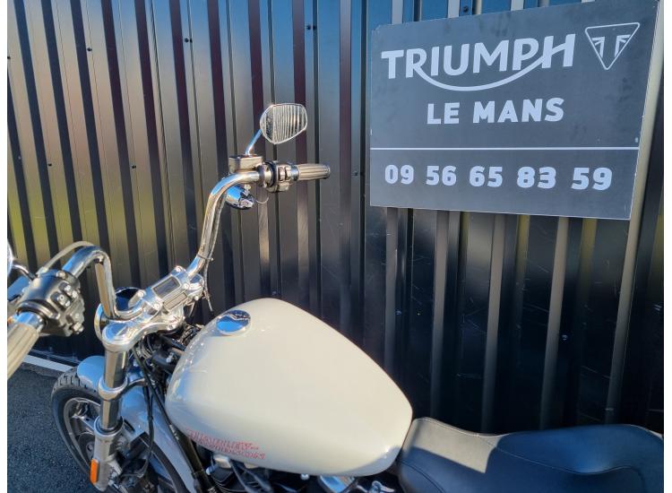 HARLEY-DAVIDSON SOFTAIL STANDARD 1745