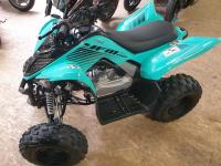YAMAHA YFM 11 0 RAPTOR