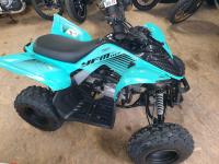 YAMAHA YFM 11 0 RAPTOR