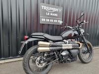 TRIUMPH SCRAMBLER 900 BRIDEE A2
