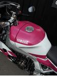 XSR 900 GP replica 750 yzf